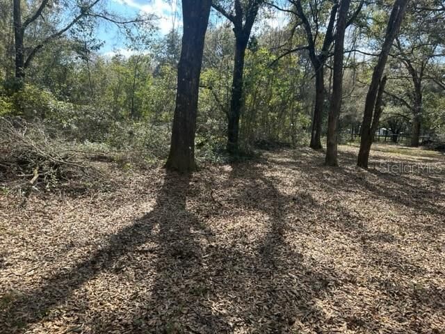 cleared area along with some wooded