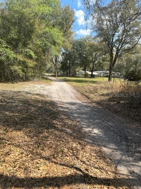 Dirt Rd View