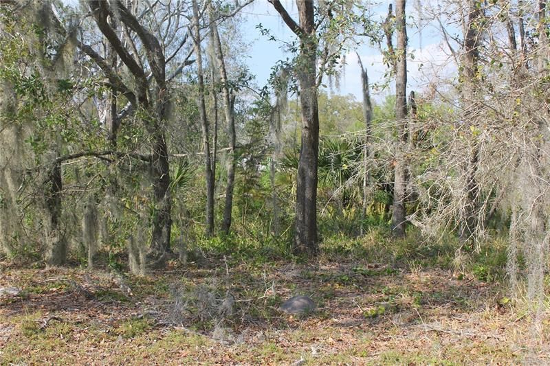 Recently Sold: $35,000 (2.59 acres)