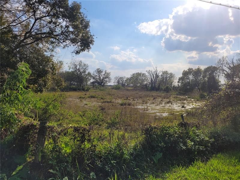 Looking from Forbes Rd