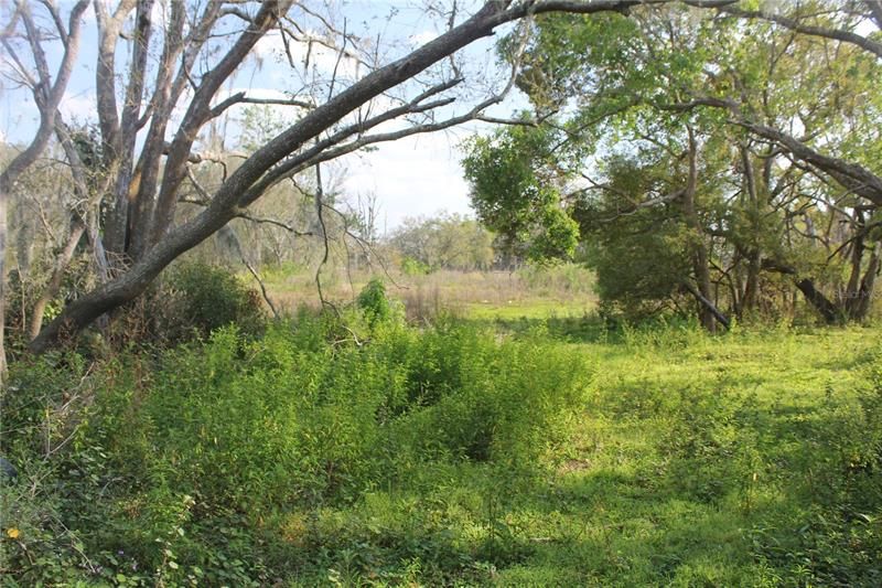 Vendido Recientemente: $35,000 (2.59 acres)