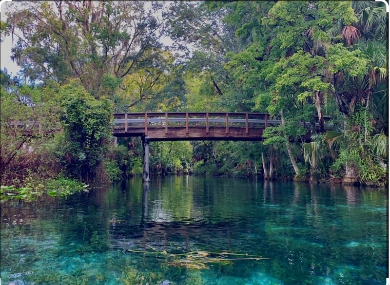 Silver Springs