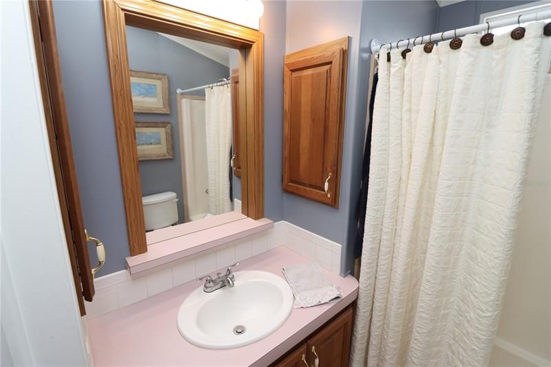 Guest bathroom