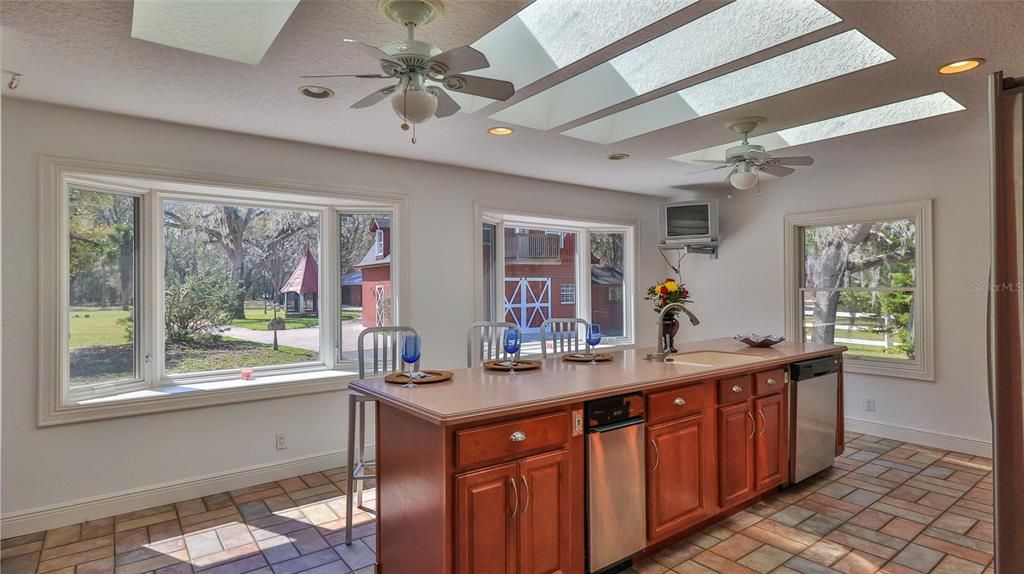 Kitchen Skylights