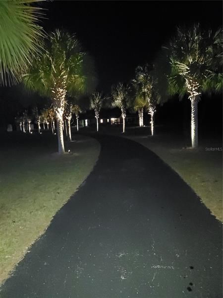 Lighted Driveway