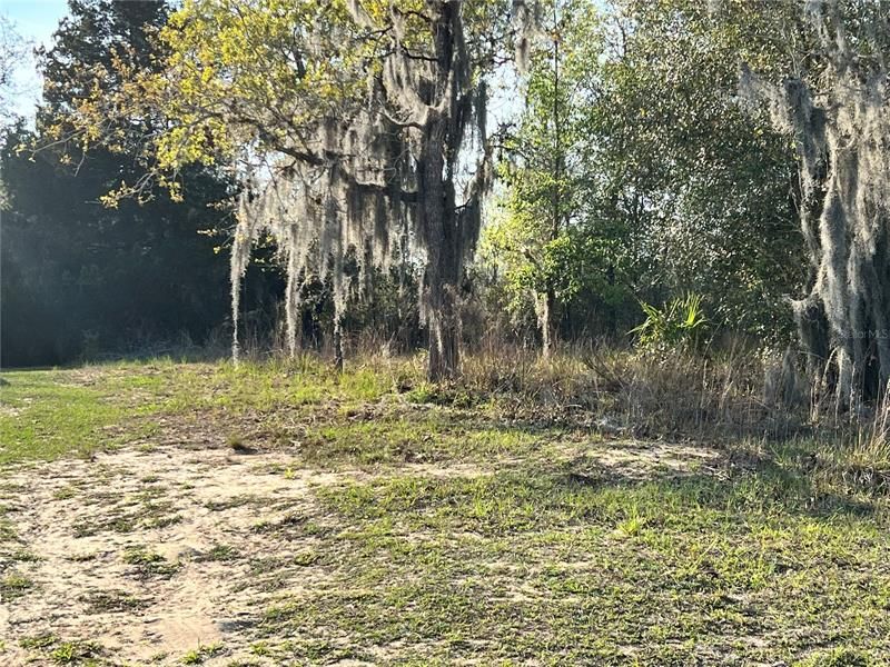 Recently Sold: $9,850 (0.19 acres)