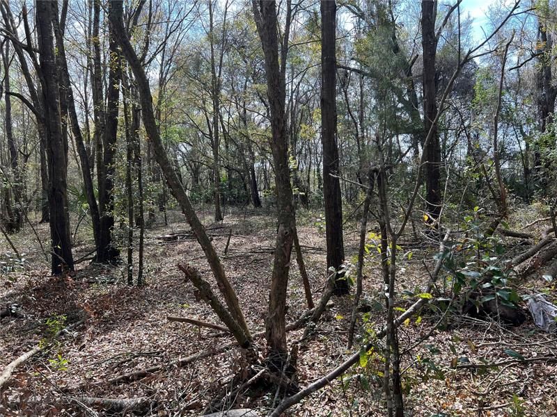 Recently Sold: $89,900 (4.88 acres)