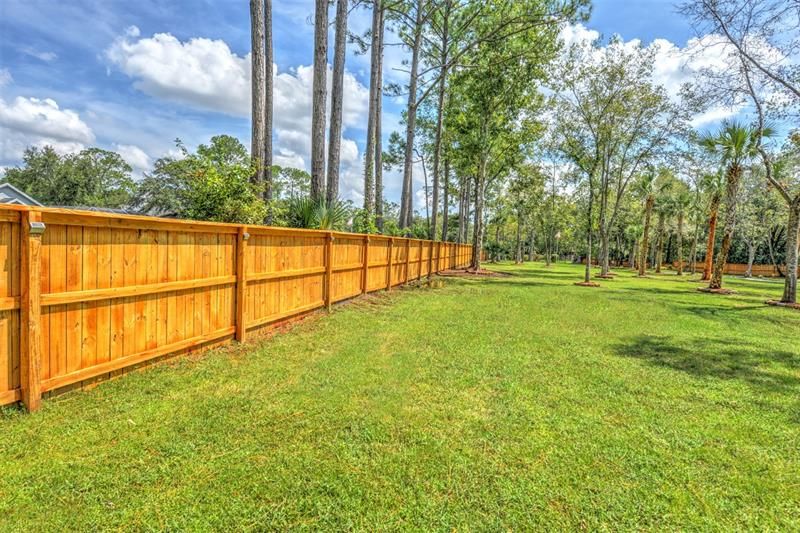 Completely fenced with solar lights.