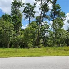 Recently Sold: $19,500 (0.30 acres)