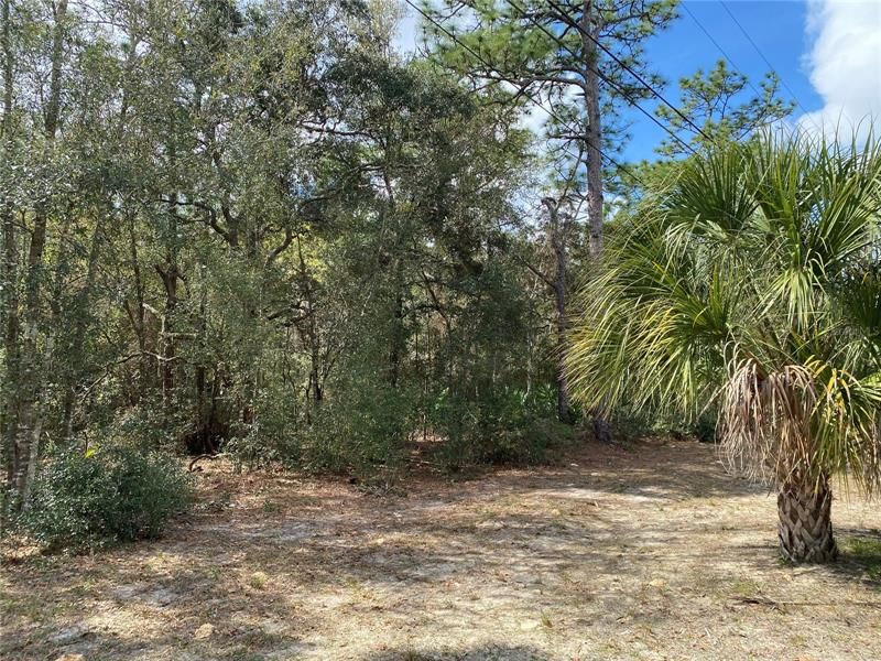 Recently Sold: $19,995 (0.56 acres)