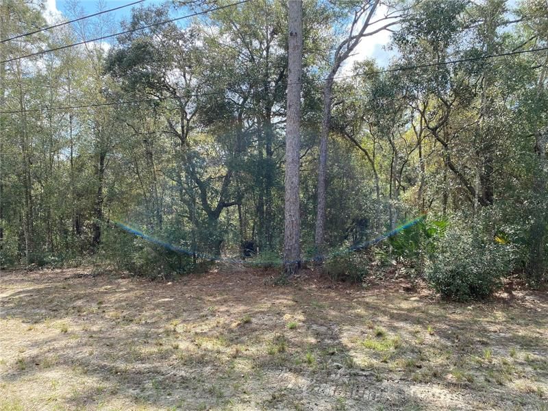 Recently Sold: $19,995 (0.56 acres)