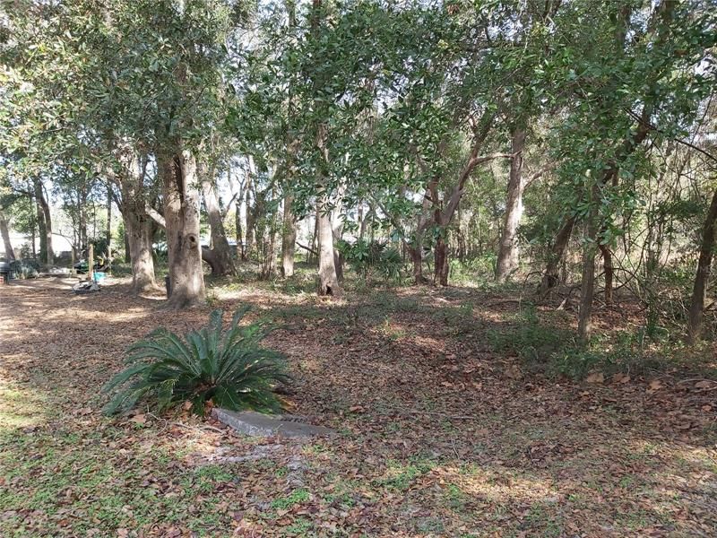 Recently Sold: $7,500 (0.50 acres)
