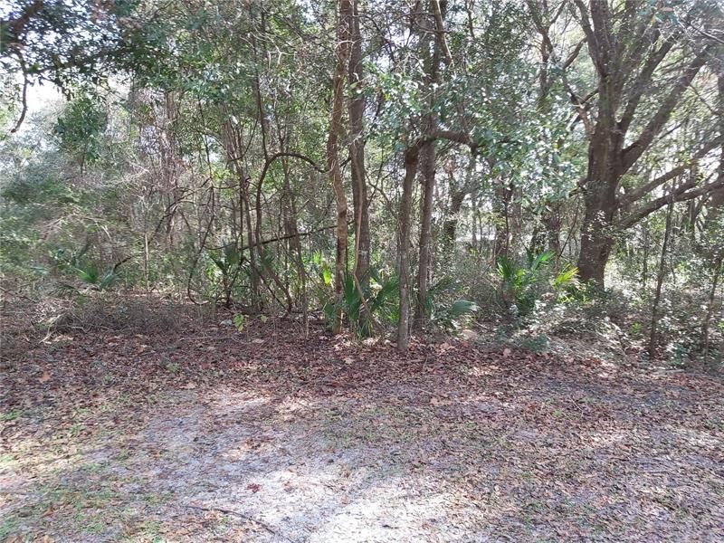 Recently Sold: $7,500 (0.50 acres)