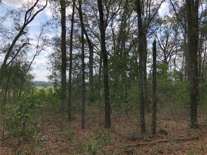 Recently Sold: $120,000 (10.04 acres)