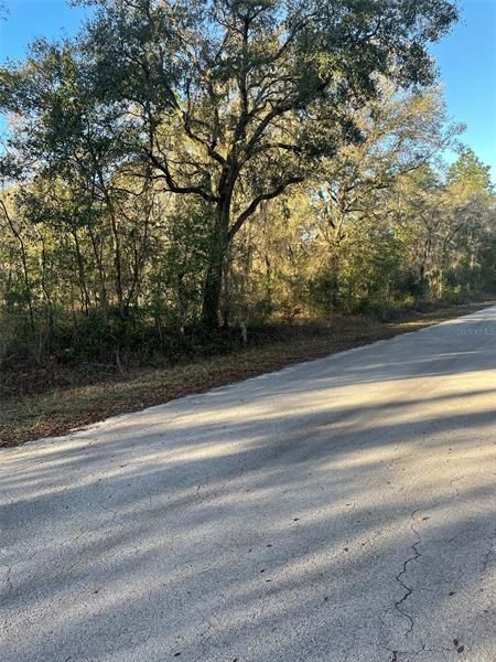 Recently Sold: $15,950 (1.03 acres)