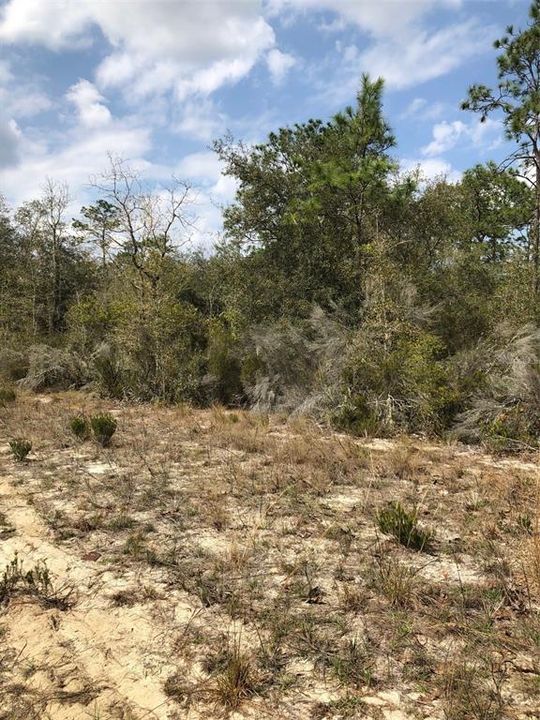 Active With Contract: $6,500 (0.24 acres)