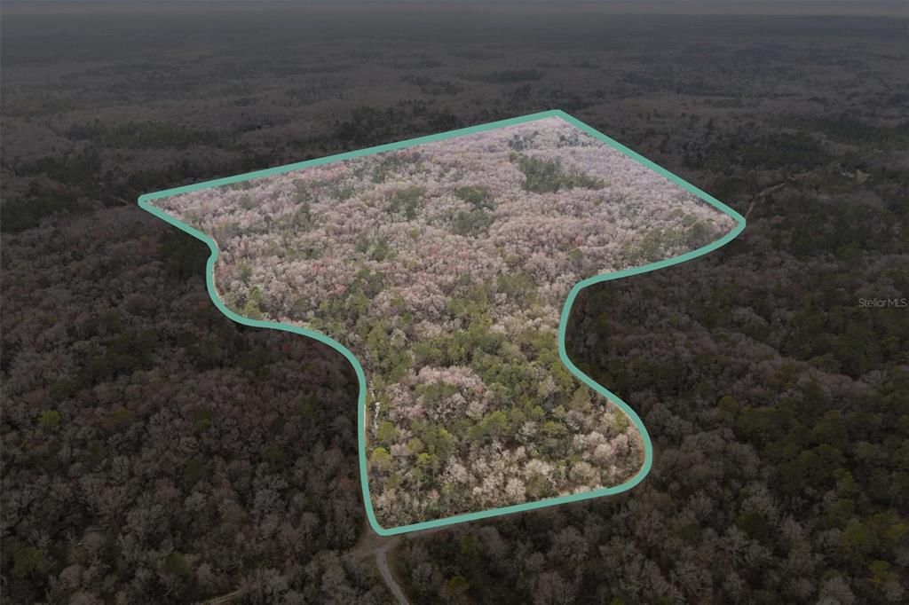 Недавно продано: $130,000 (32.82 acres)