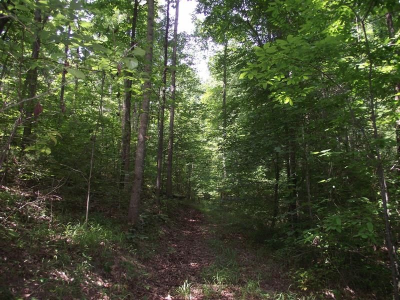 Recently Sold: $110,000 (11.00 acres)