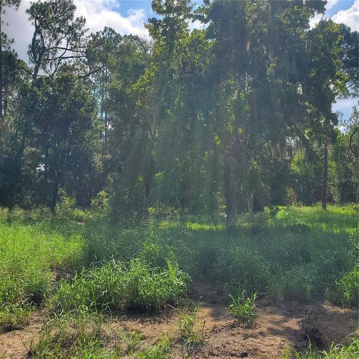 For Sale: $495,000 (4.27 acres)