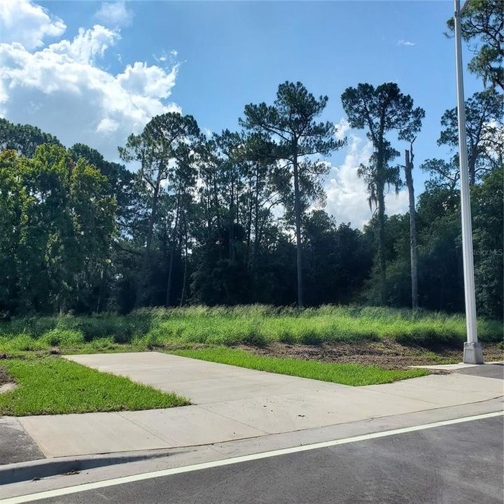 For Sale: $495,000 (4.27 acres)