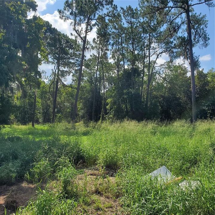 For Sale: $495,000 (4.27 acres)