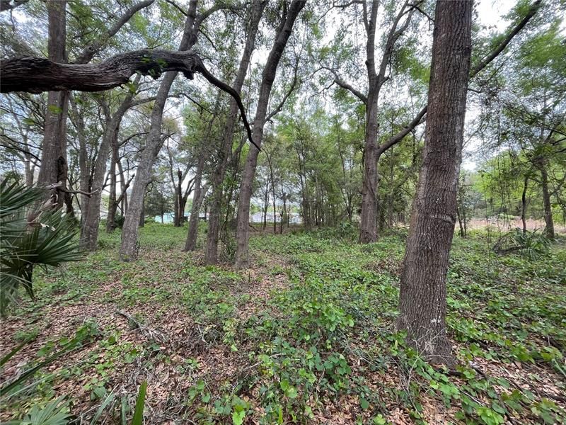 For Sale: $8,500 (0.21 acres)
