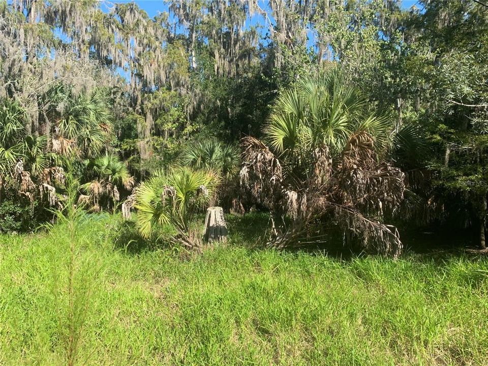 Recently Sold: $10,000 (1.03 acres)