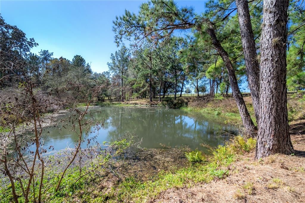 Recently Sold: $899,000 (20.00 acres)