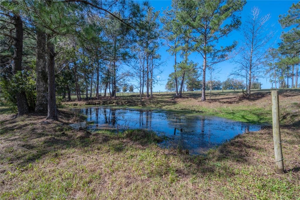 Recently Sold: $899,000 (20.00 acres)