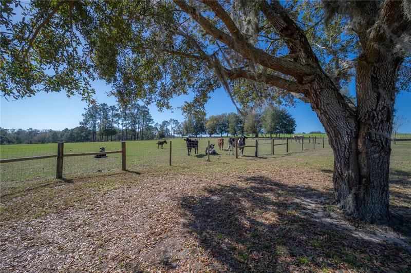 Recently Sold: $899,000 (20.00 acres)