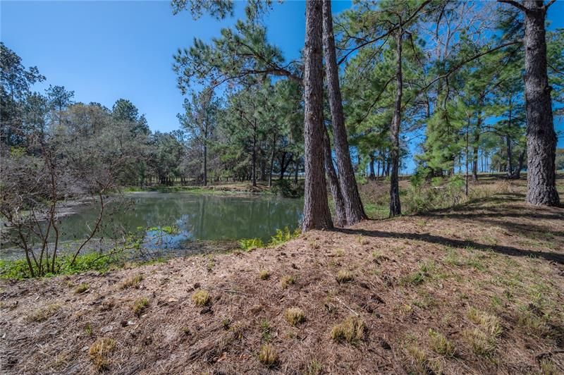 Recently Sold: $899,000 (20.00 acres)