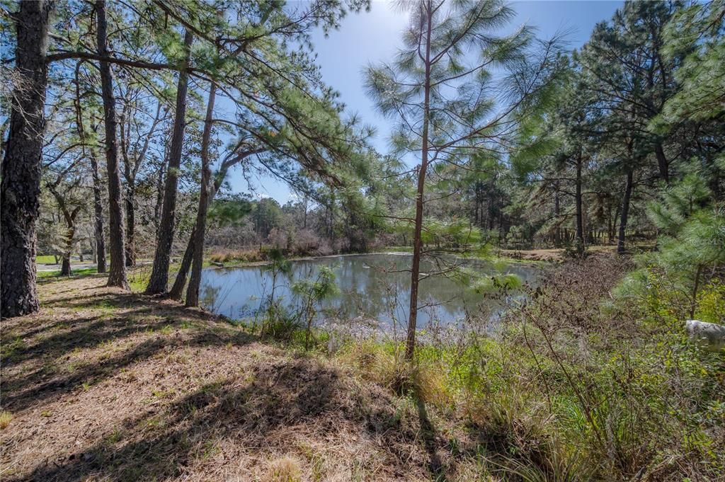 Recently Sold: $899,000 (20.00 acres)