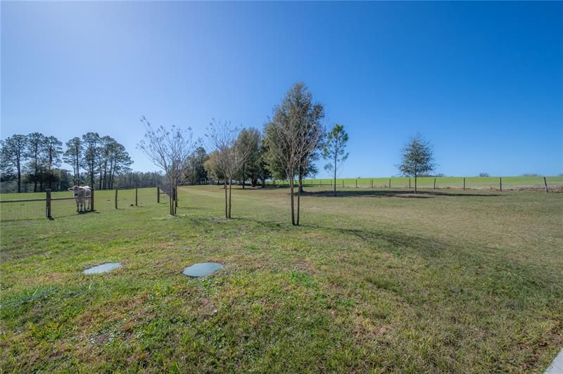 Recently Sold: $899,000 (20.00 acres)