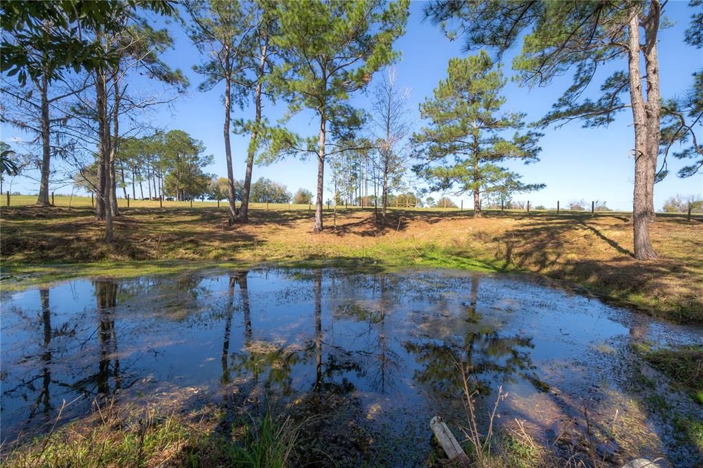 Recently Sold: $899,000 (20.00 acres)