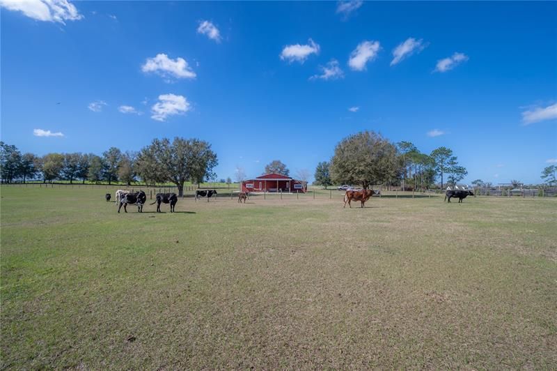 Recently Sold: $899,000 (20.00 acres)