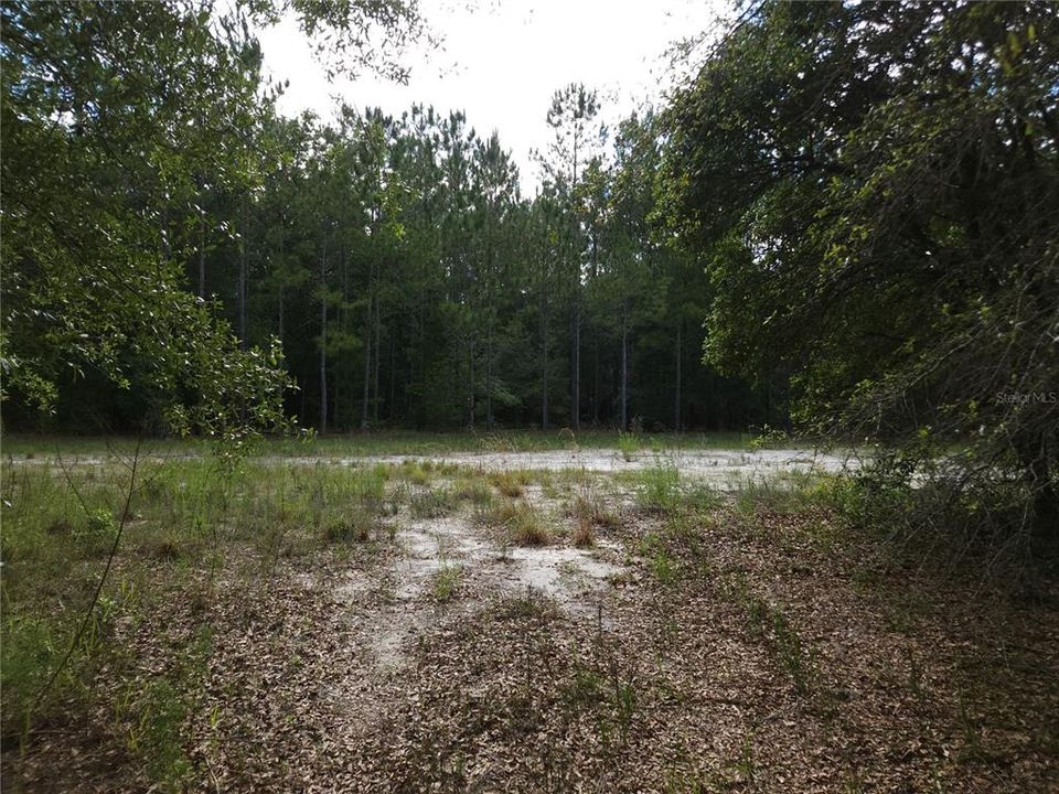 For Sale: $200,000 (40.83 acres)