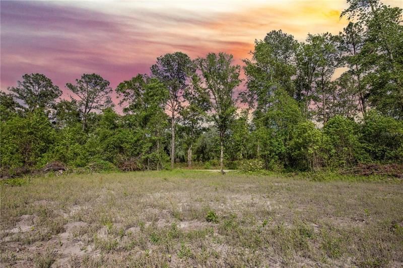 Recently Sold: $41,900 (1.50 acres)