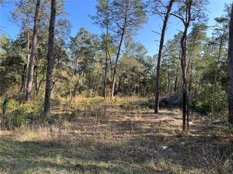Recently Sold: $11,000 (0.43 acres)
