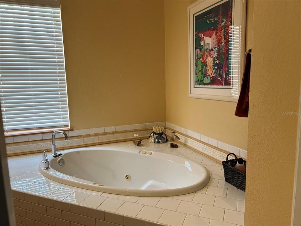 Master Bath Jetted tub