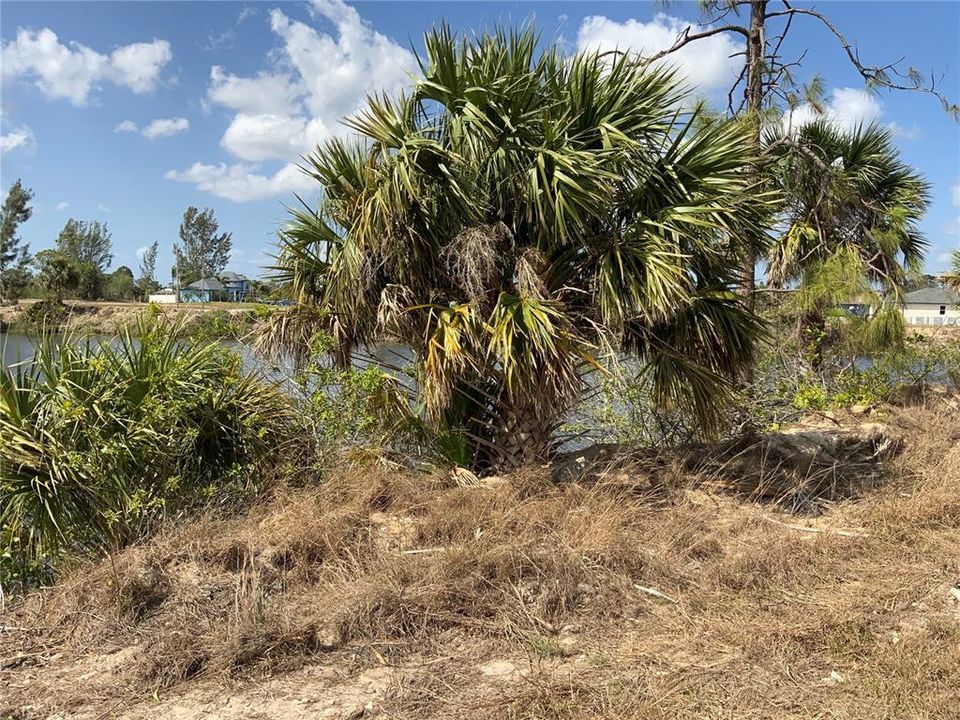 待售: $75,000 (0.28 acres)