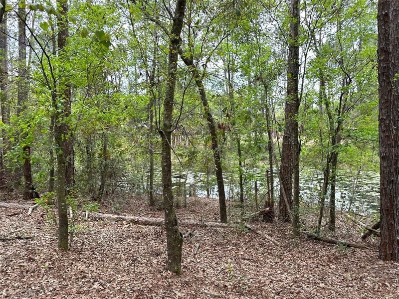 Recently Sold: $17,900 (0.61 acres)