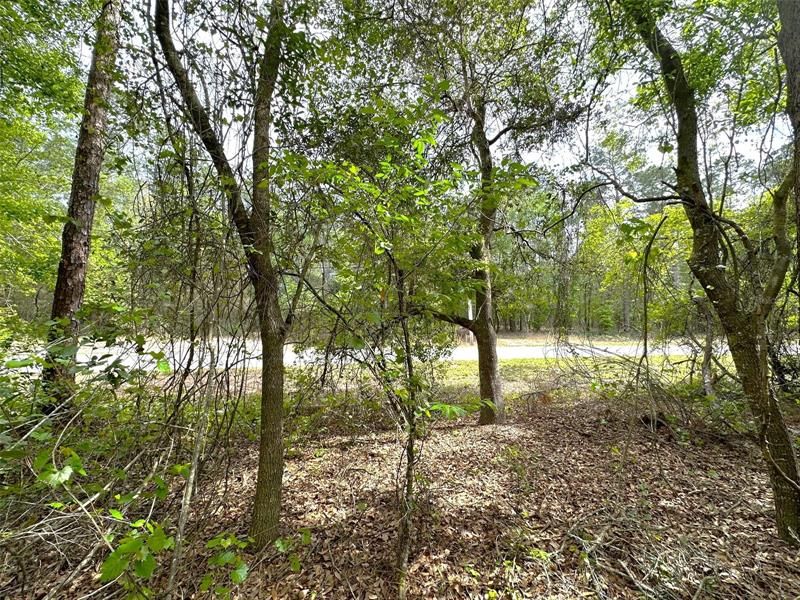 Недавно продано: $17,900 (0.61 acres)