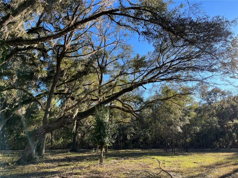 Recently Sold: $575,000 (7.32 acres)