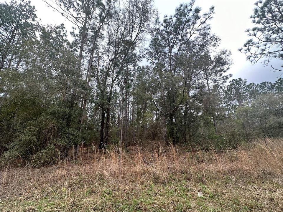 Vendido Recientemente: $2,000 (0.09 acres)