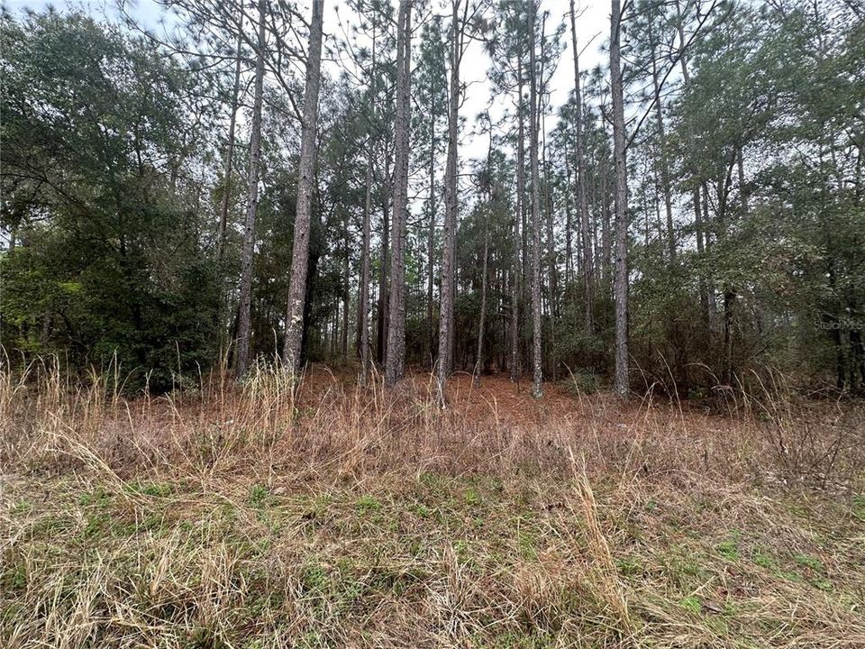 Recently Sold: $2,200 (0.11 acres)