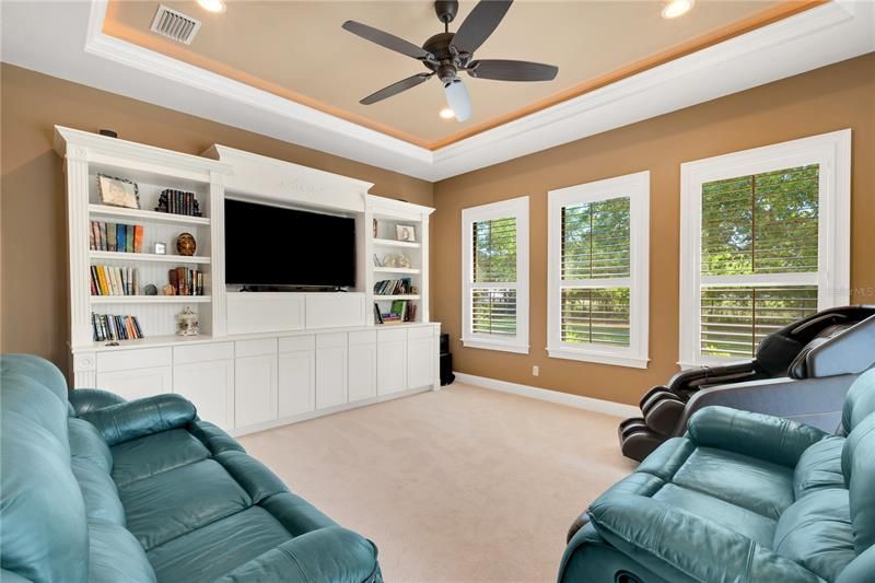 FLEX MEDIA ROOM with WALL UNIT  - TRAY CEILING with CROWN MOLDING