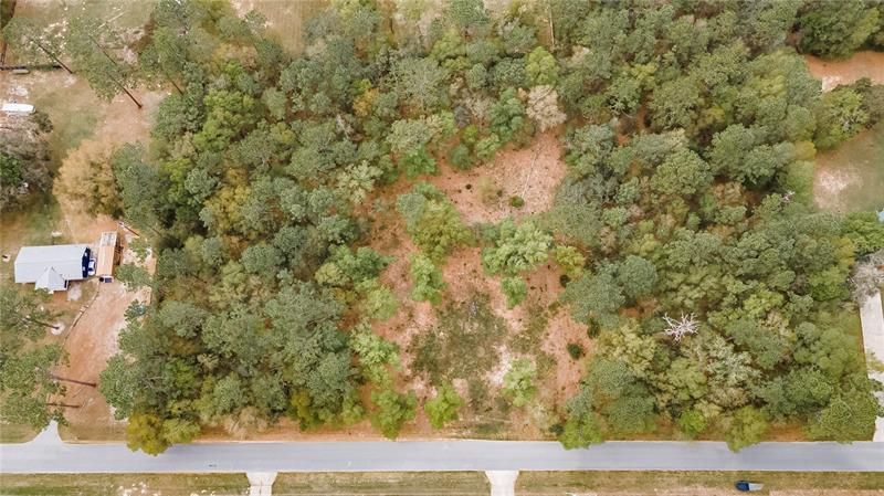 Just over 1 acre lush parcel of land