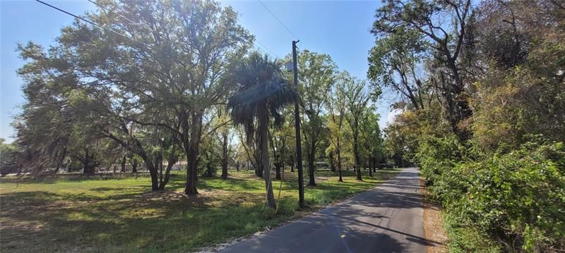 View of lot from northeast corner with Miles Road along right side