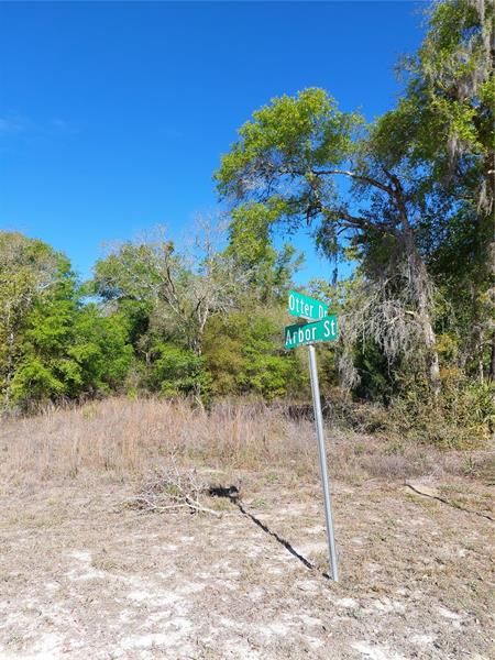 Vendido Recientemente: $39,000 (1.28 acres)