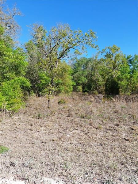 Recently Sold: $39,000 (1.28 acres)